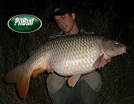ppcarp - Pavel Ba�ina