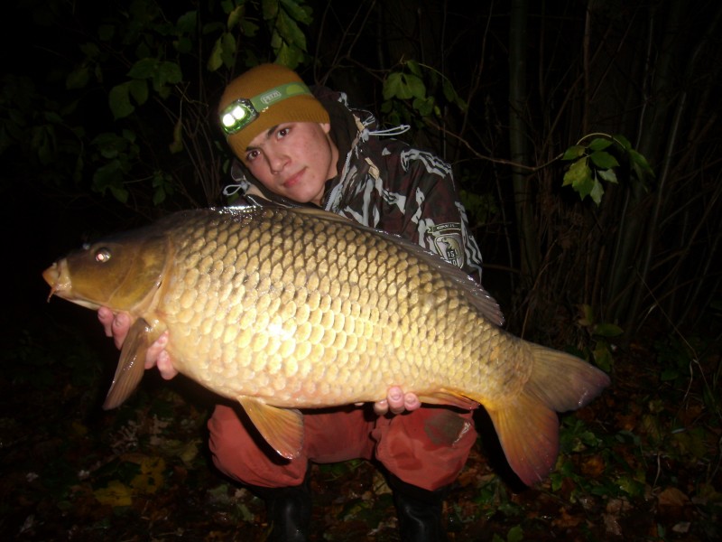 ppcarp - Pavel Bařina