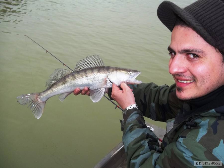 Rio Ebro