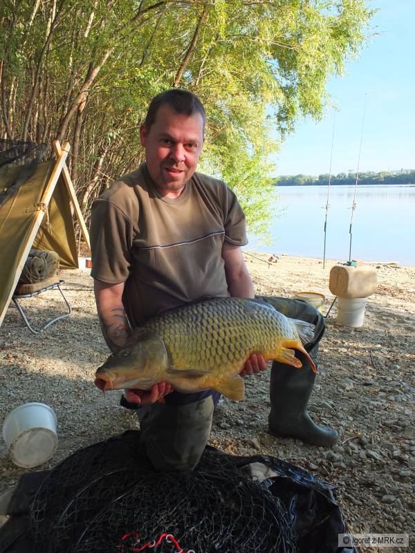 kapor 15 kg
