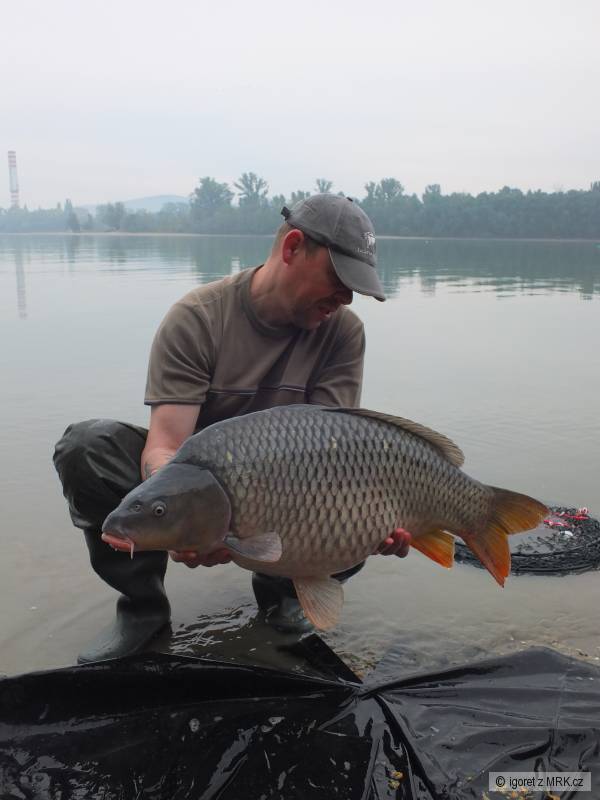 kapor 12kg