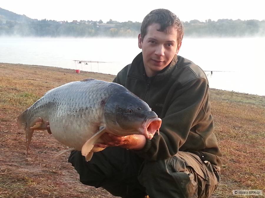 15 Kg