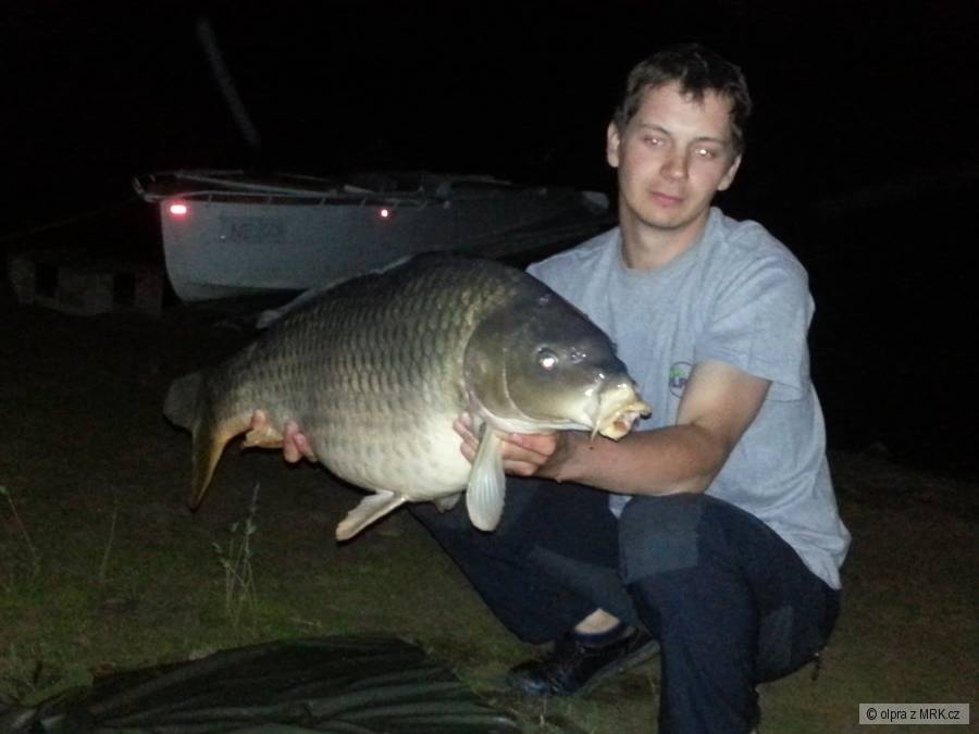 15,5 Kg