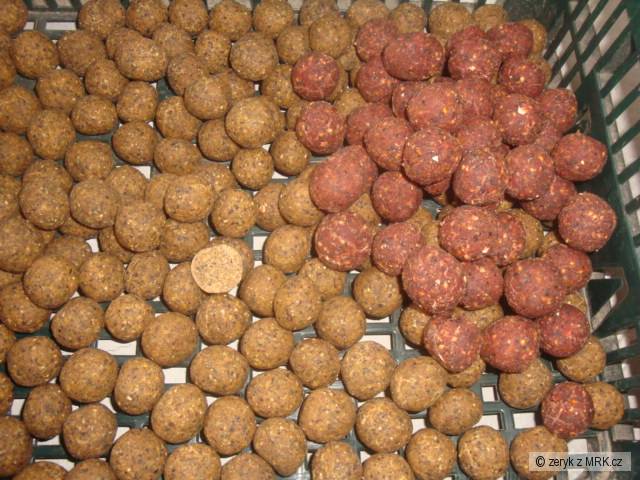 BOILIES