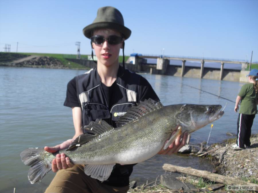 Zubač 78cm