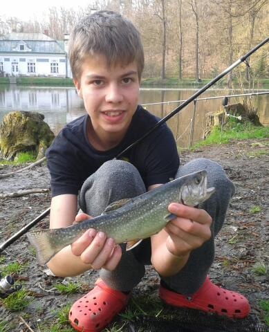 Siven 34cm