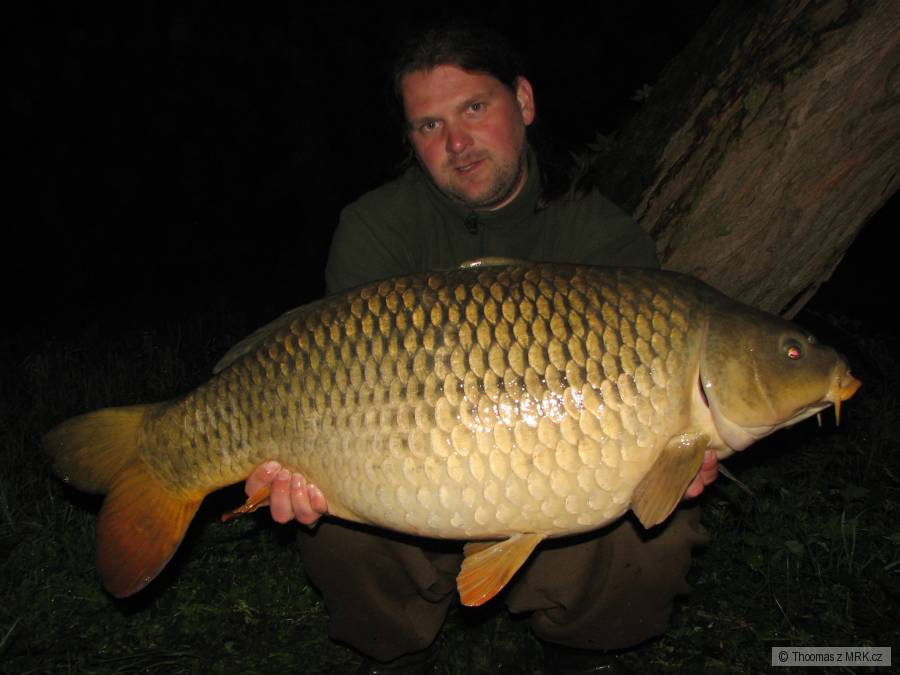 15,10 kg
