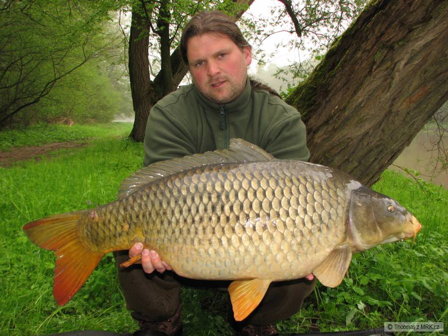 13,30 kg