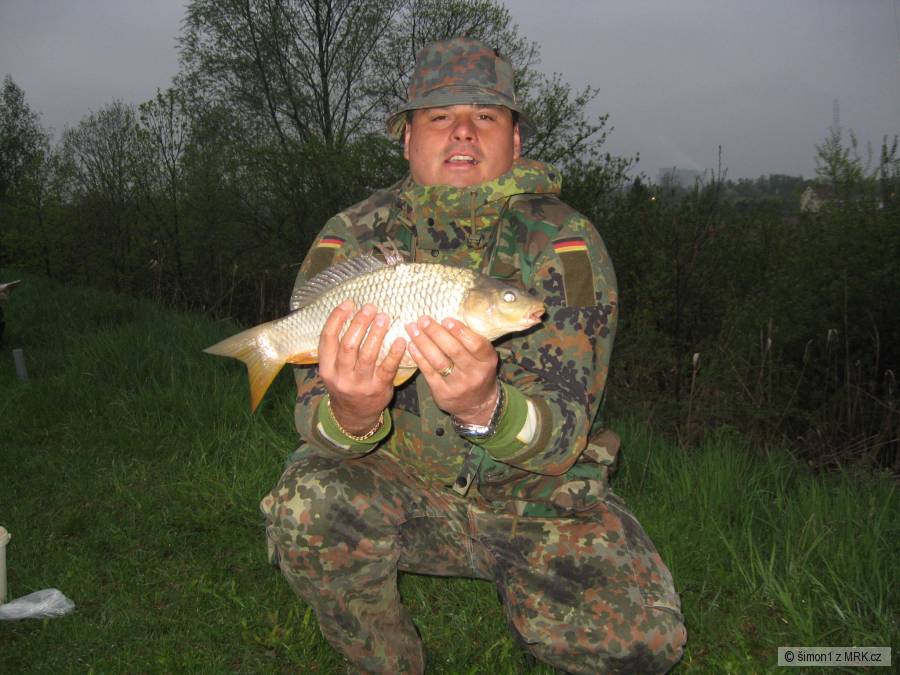 Závada