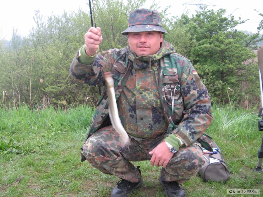 Závada