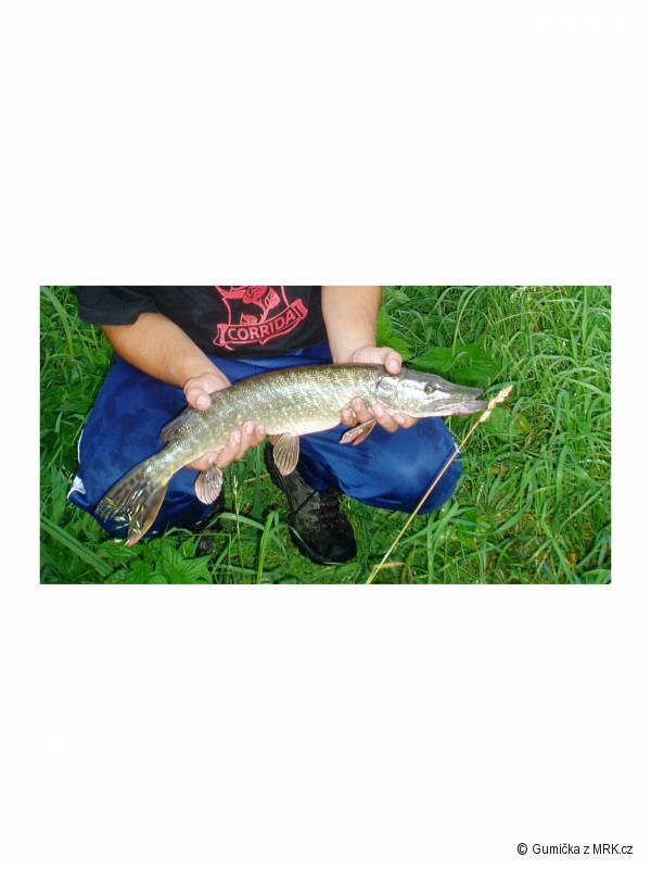 �tika 58cm