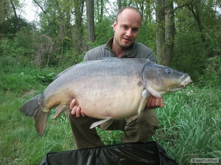 17,5 kg 88cm