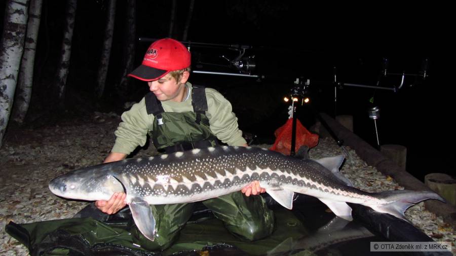 jezero Jaroslav