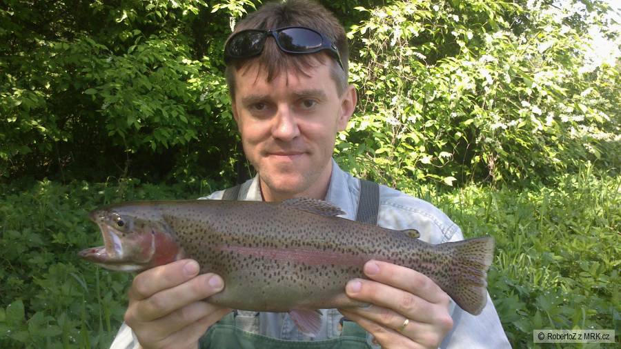 Slatina 40cm