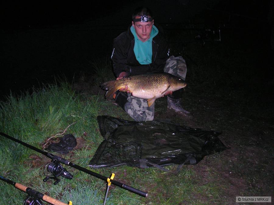 78cm, 9,6kg