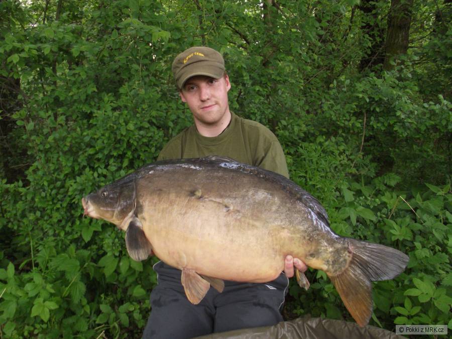 80cm 14,7Kg