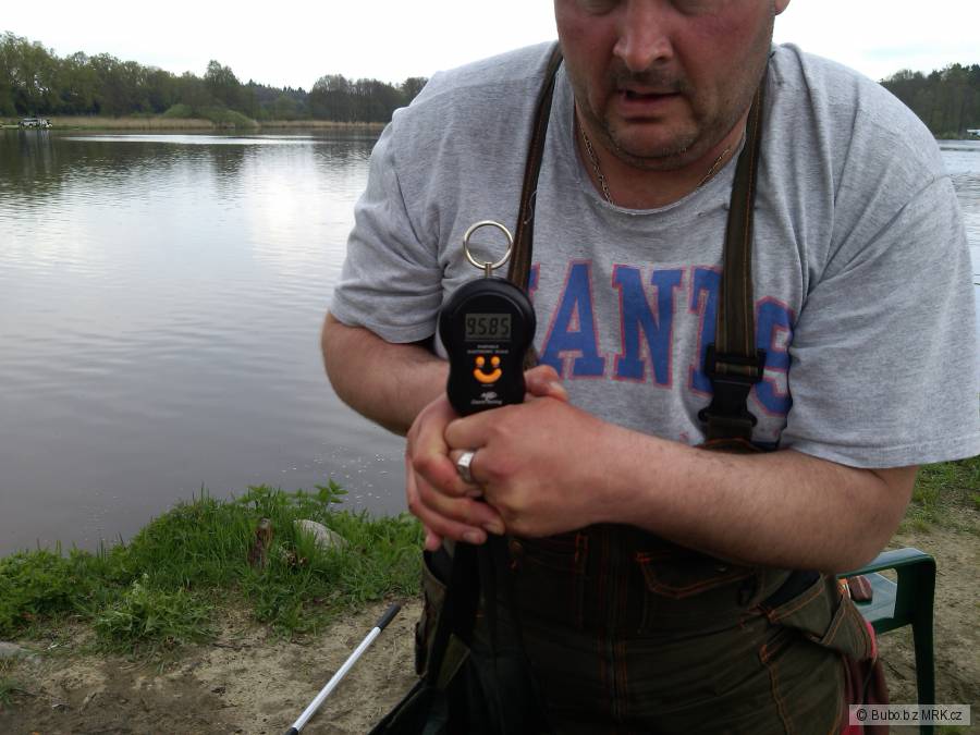 Popelov na feeder