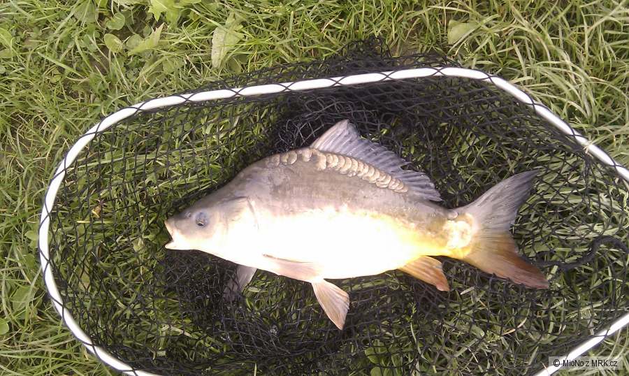 Cukrovarský rybník