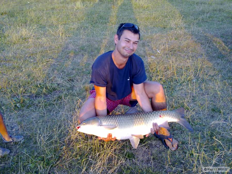 Amur 102cm 17,5kg