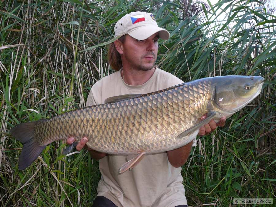 amur 94cm 11,2kg