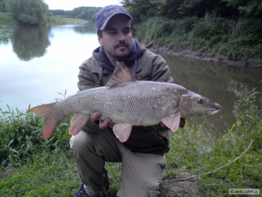 Parma 70 cm