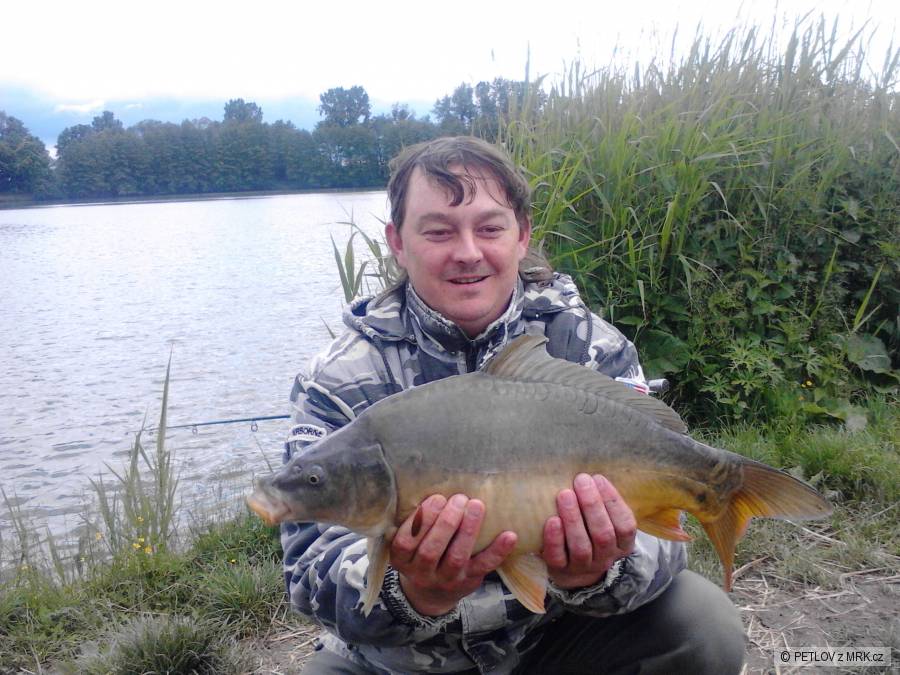 kapr lysec 54cm....3,20kg