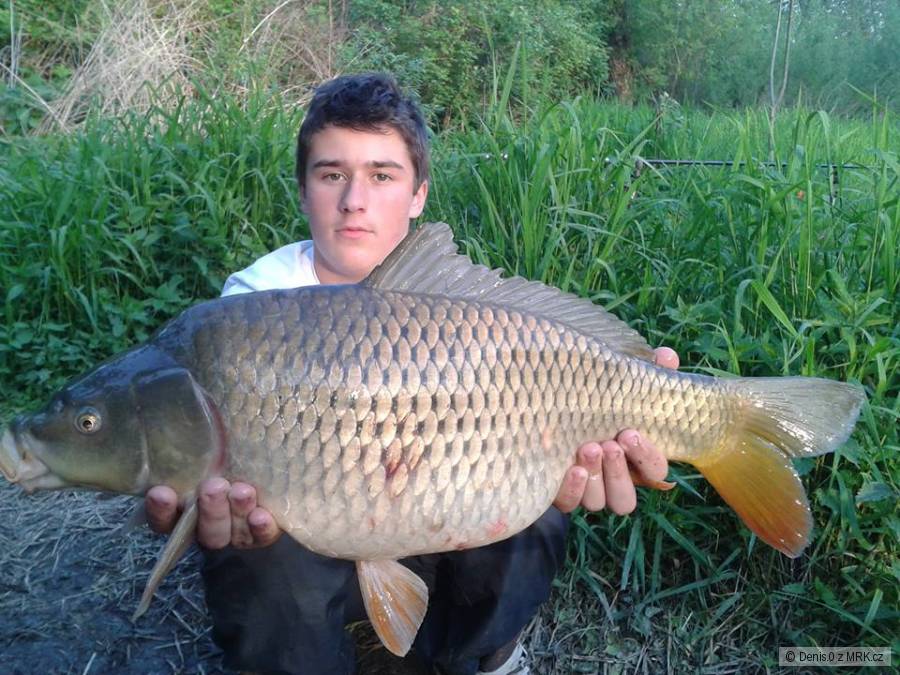 6,25kg 64cm
