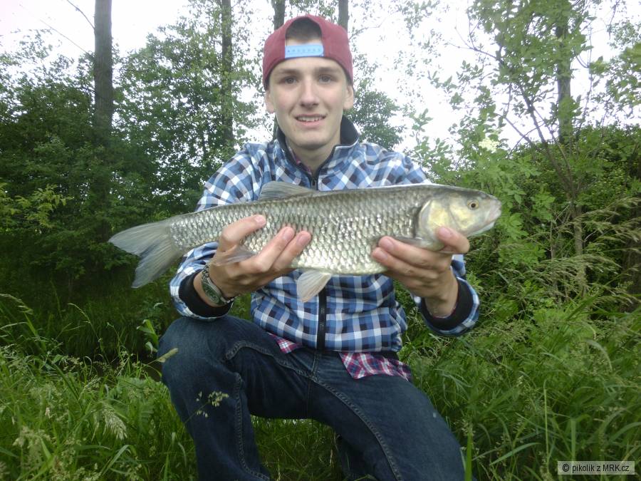 Krásnej tloušť