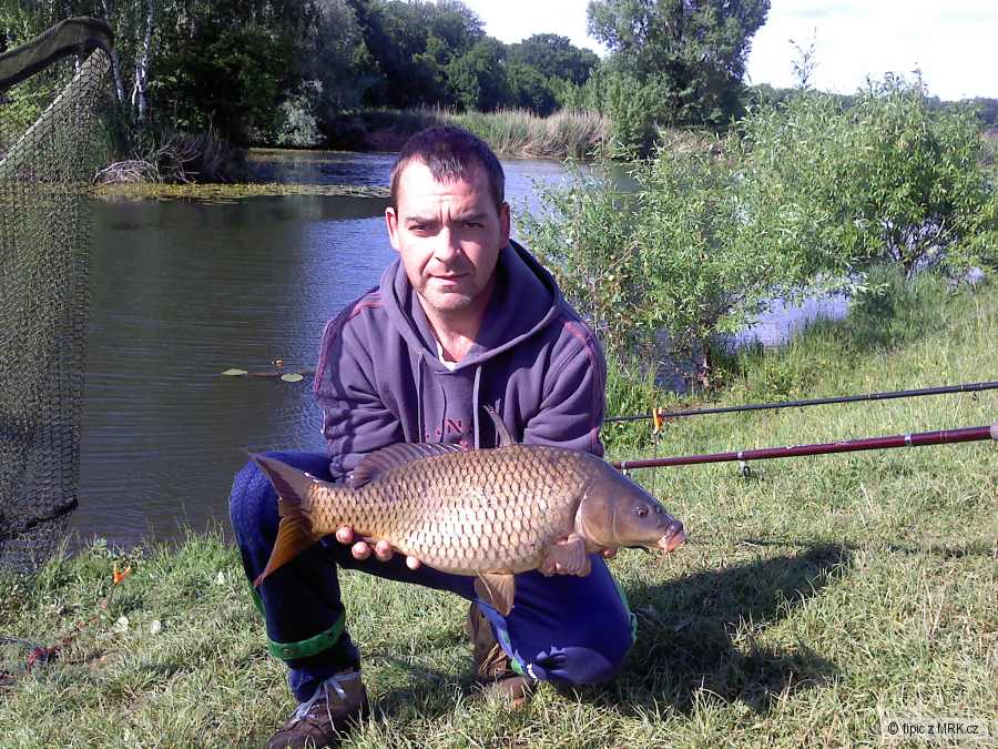kapřík 65 cm