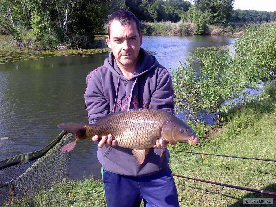 kapřík 64 cm