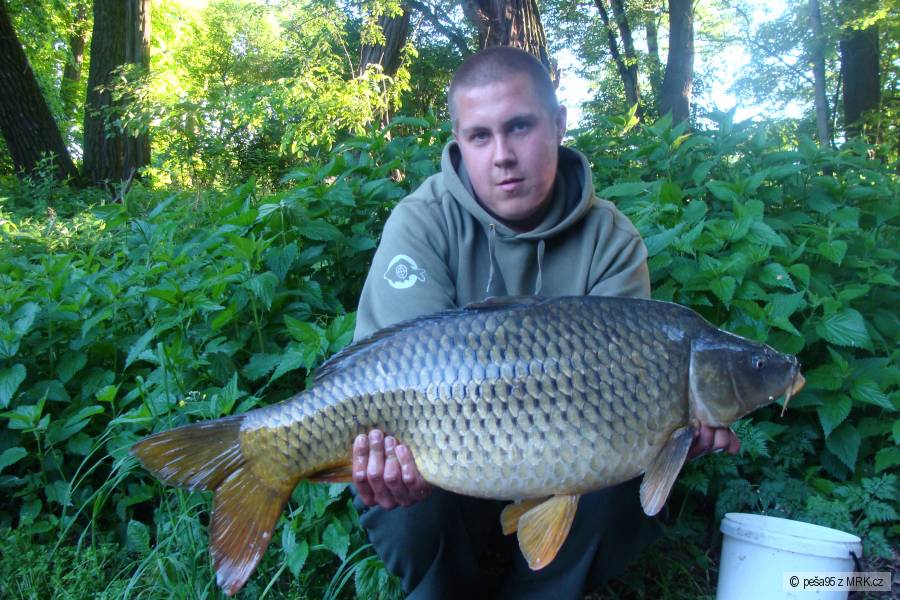 13,5kg 86cm z 2h vody