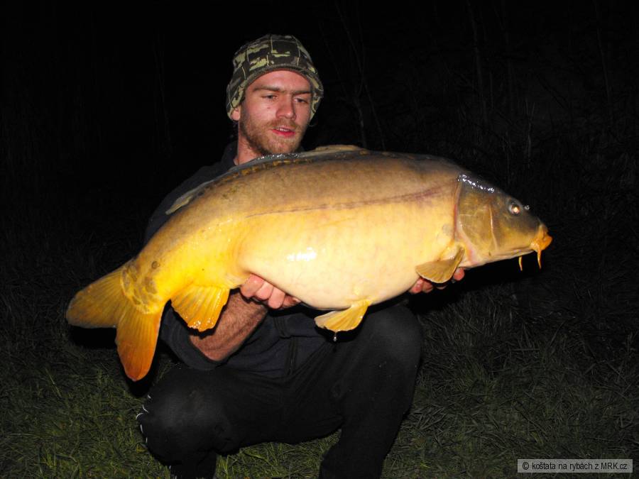 Salát a 12,5kg