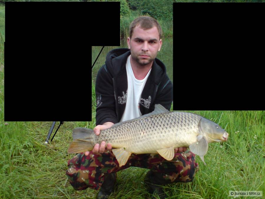 Kapr 69 cm, 5,5 kg