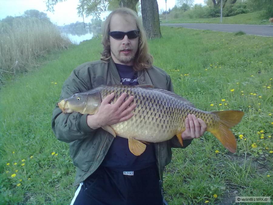 Labák 87cm