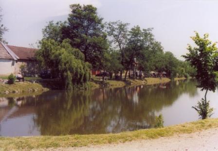 n� rybn�k
