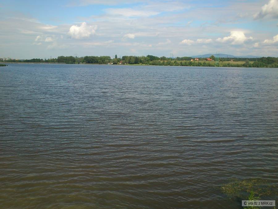 olesna