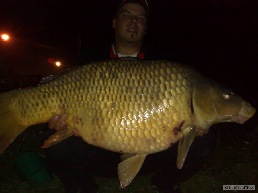 22kg