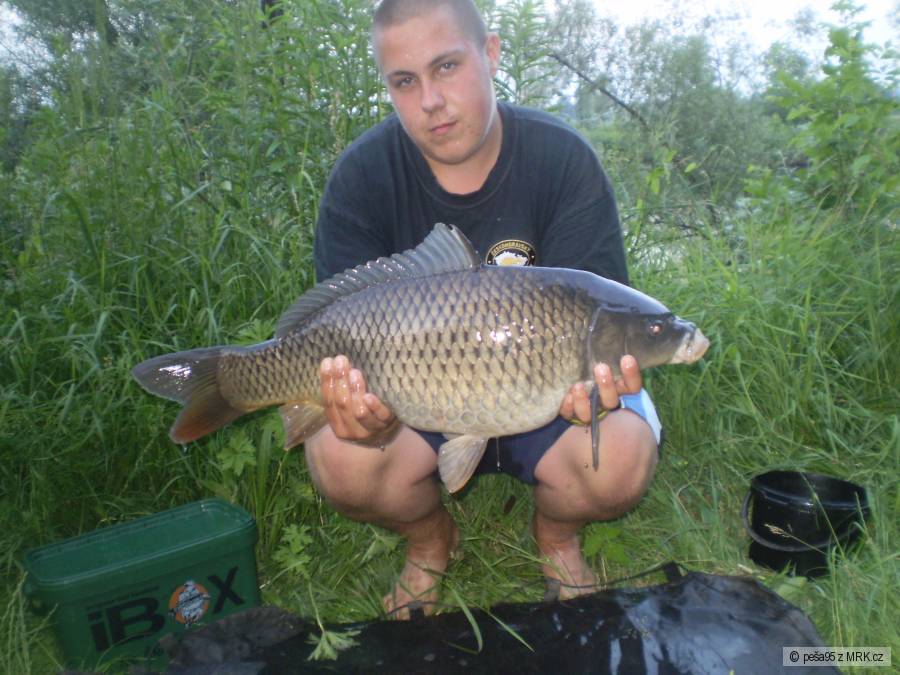 zabral na Carptrack Monster Paradise+amino gel ..záběr po 30hodinách ..77cm 8,80kg