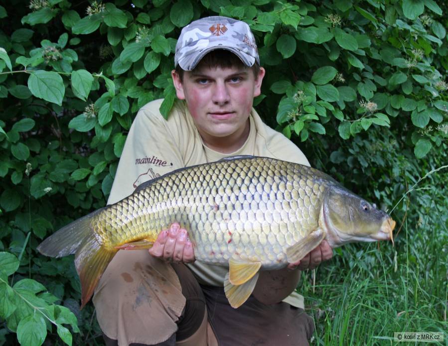 Šupináč