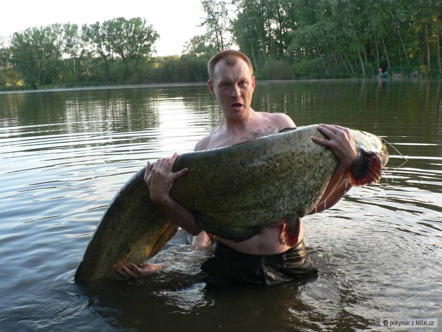 sumec 215cm