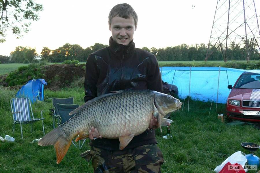 85/12,5Kg ze svazovky