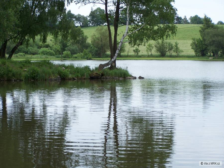 Plodovi rybnik Rasna