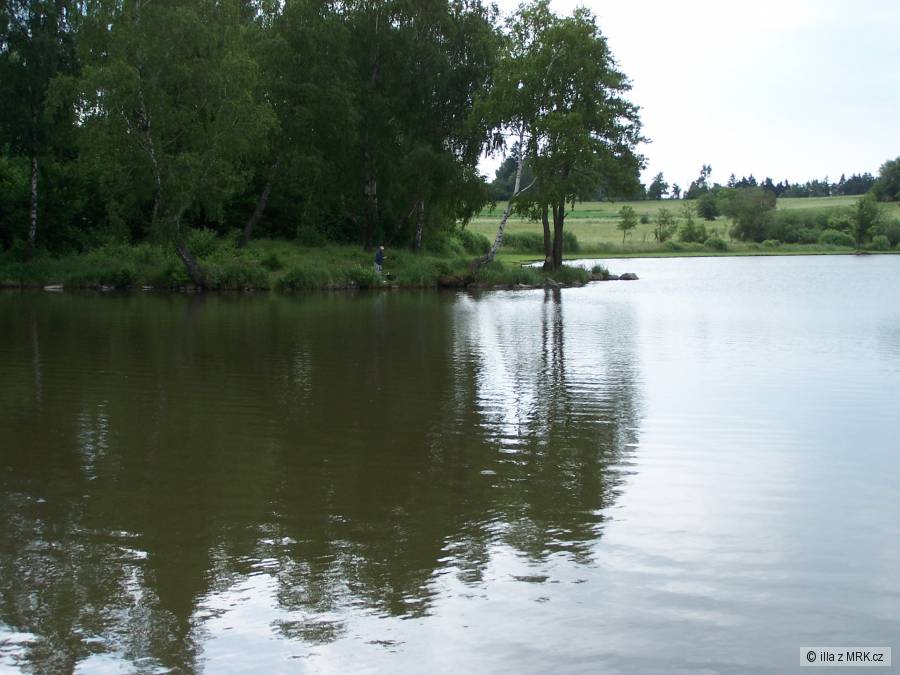 Plodovi rybnik Rasna