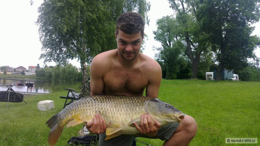 95cm 15 kg
