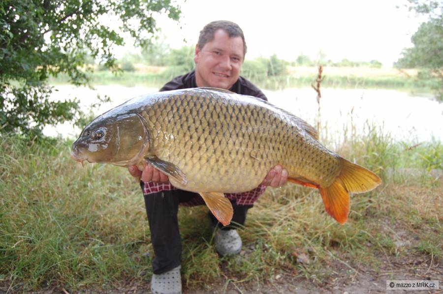 kaprík 84 cm