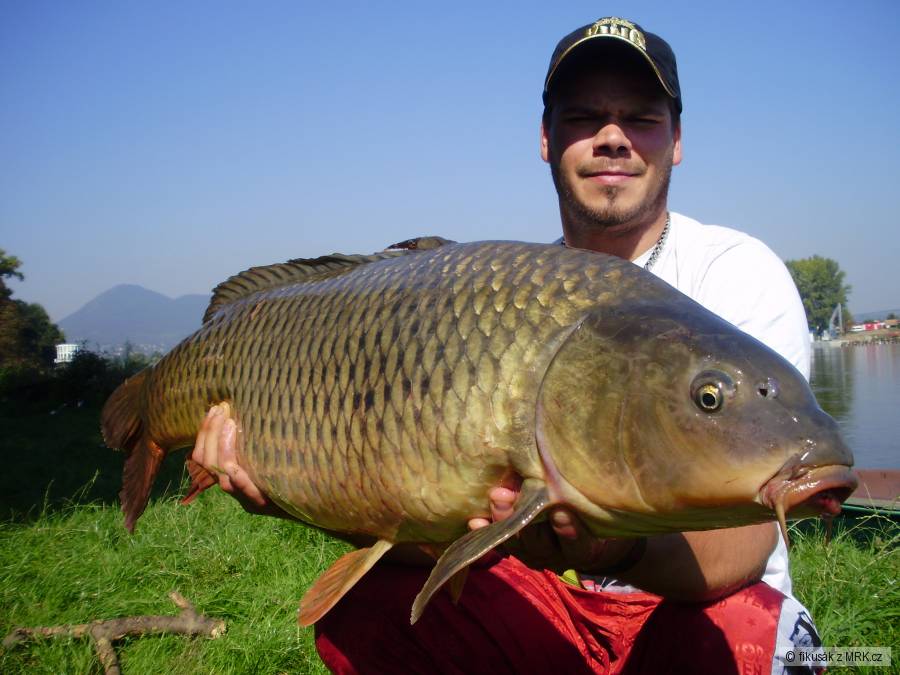 torpédo