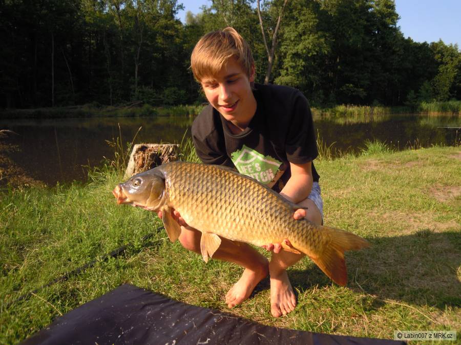 Kapříček
