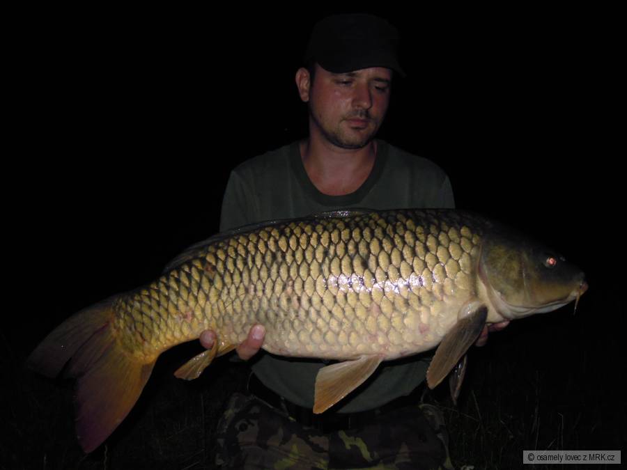 ,Svazovka' Červenec 2013