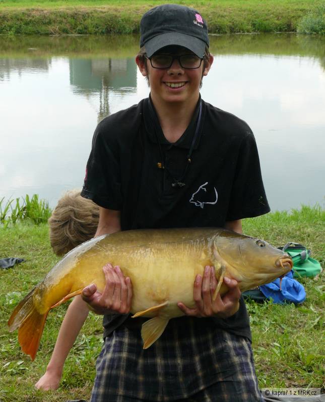 kapr 80cm