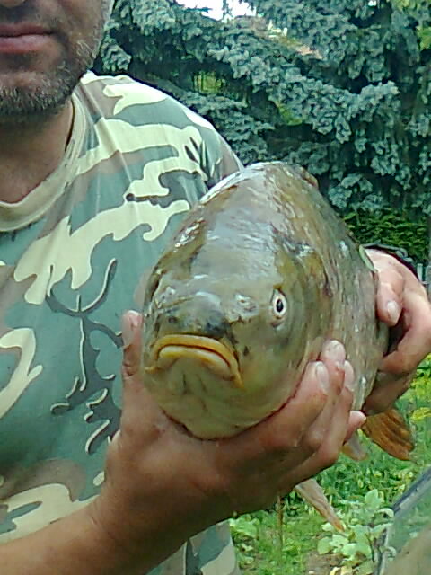 p�knej kousek 70 cm